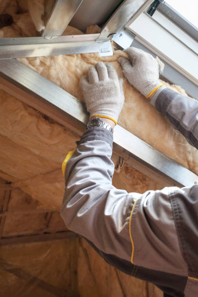Best Commercial Insulation in Decatur, MS