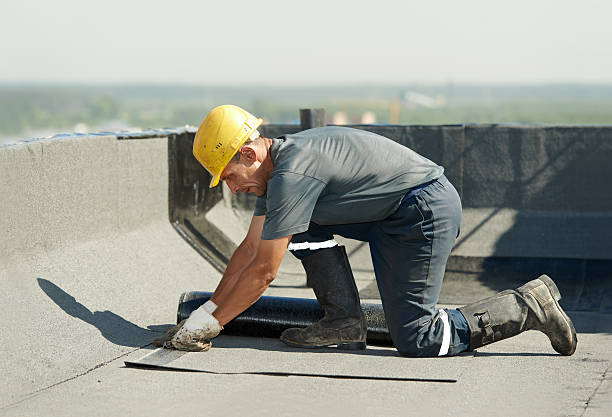 Best Cellulose Insulation in Decatur, MS